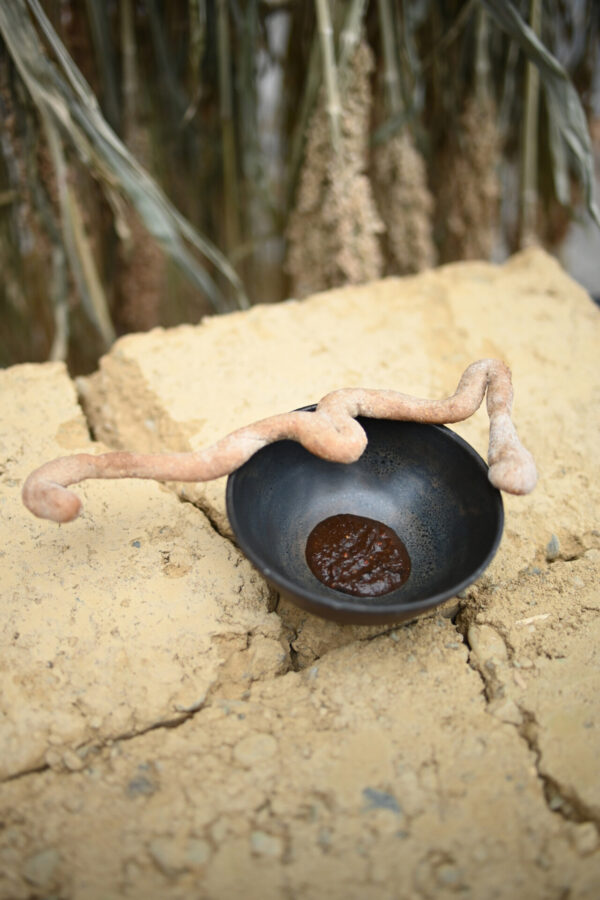 Ears of Earth _ Philipp kolmans en suzanne Bernhardt _ polder parade _ conceptueel diner _ granen diner _ belevingsdiner