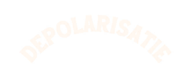 Depolarisatie - van polarisatie naar verbinding - groenpact jongerenplatform - Eva Flantua - Robin Vroom