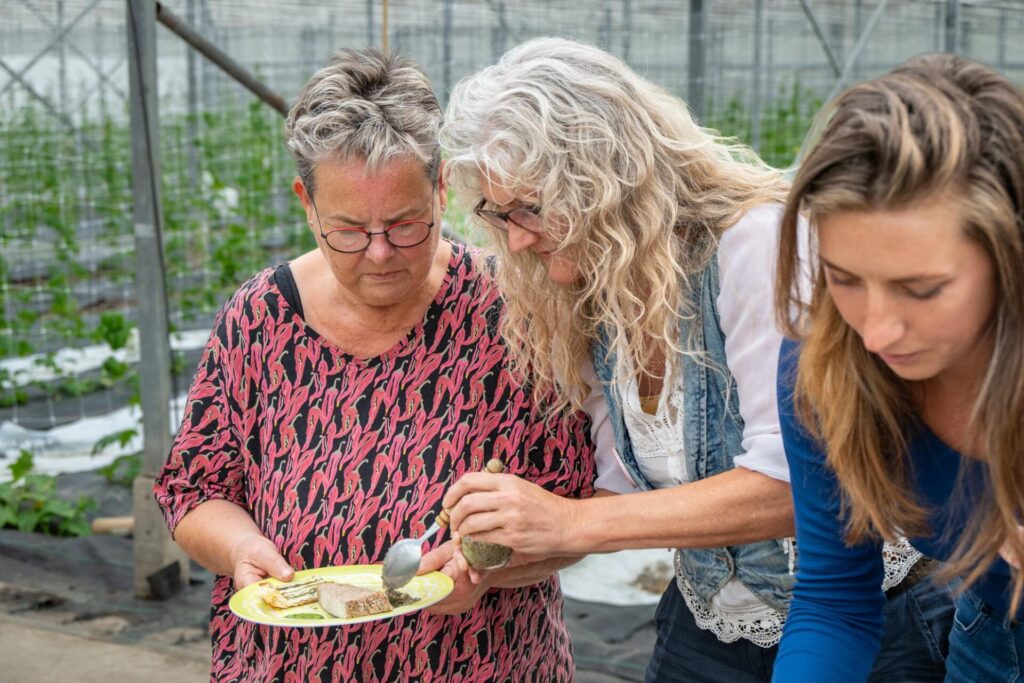 De grootste picknick van Almere - potluck